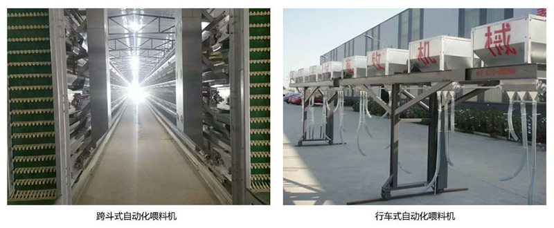 蛋雞自動送料系統